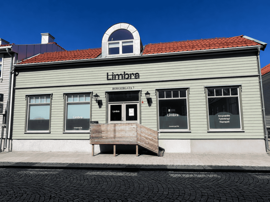 Kiropraktorer og fysioterapeuter i Halden.